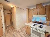 1991 PALM  Home