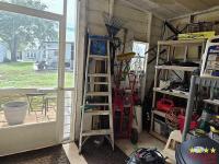 1981 PALM  Home