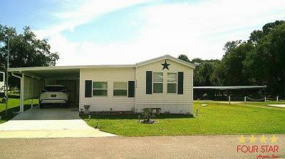 Mobile Home at 2732 Lazy Day Ln Deland, FL 32720
