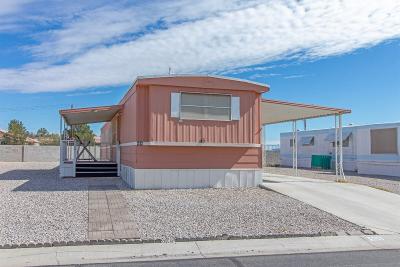 Mobile Home at 5805 W. Harmon Ave. Las Vegas, NV 89103