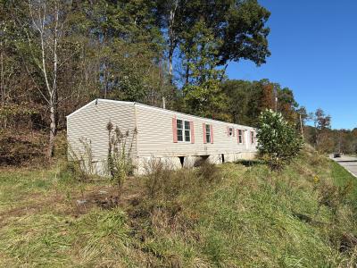 Mobile Home at 11946 Kentucky 172 Flatgap, KY 41219