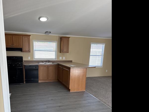 2007 Skyline Mobile Home