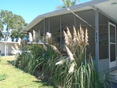 Photo 2 of 12 of home located at 3432 State Road 580, #Lot 443 Safety Harbor, FL 34695