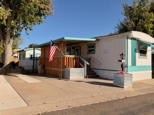 1969 New Moon Mobile Home For Sale