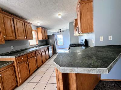 Mobile Home at 1133 Nicolson St Wayland, MI 49348