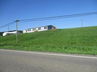 Photo 2 of 16 of home located at 54 Teens Run Road Crown City, OH 45623