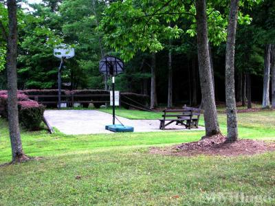 Photo 5 of 8 of park located at 1751 Ny Route 7 Port Crane, NY 13833