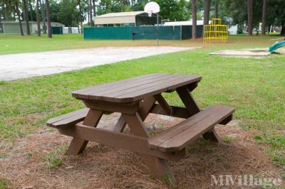 Photo 4 of 53 of park located at 7117 Southwest Archer Road Gainesville, FL 32608