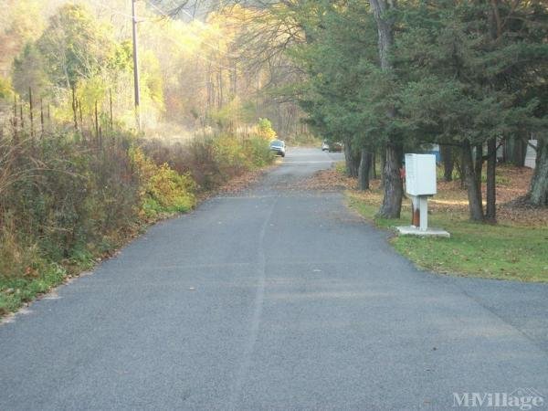 Photo 1 of 2 of park located at Happy Valley Rd Orwigsburg, PA 17961