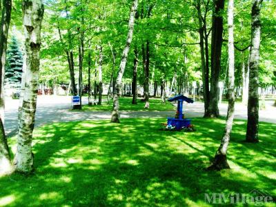 Photo 5 of 11 of park located at 2421 E. Birch Dr. Kawkawlin, MI 48631