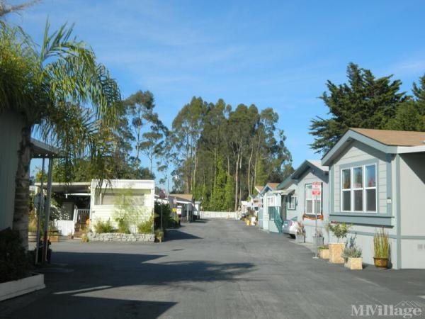 Photo of Ocean Breeze Manor, Santa Cruz CA