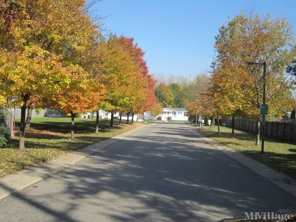 Photo of Mill Race Shores Manufactured Housing Community, Milan MI