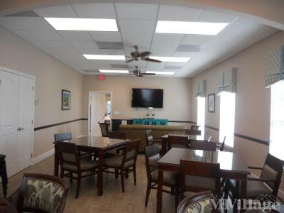 Photo 6 of 17 of park