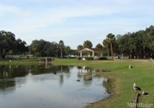 Photo 1 of 2 of park located at 5729 Dayton Street Zephyrhills, FL 33542