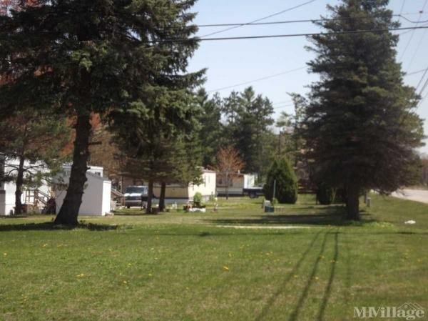 Photo 1 of 2 of park located at 1955 S. Chippewa Road Mount Pleasant, MI 48858