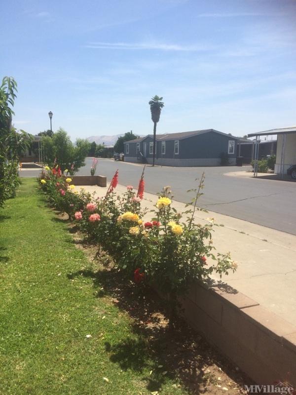 Photo 1 of 2 of park located at 42042 Road 128 Orosi, CA 93647