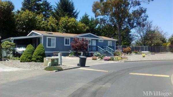 Photo of Lucas Mobile Home Park, Brookings OR