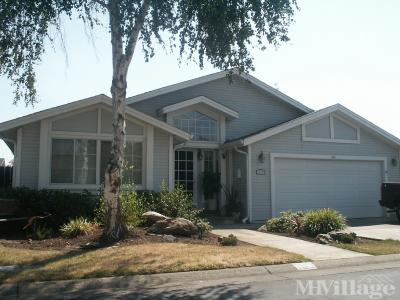 Mobile Home Park in Ione CA