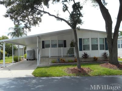 Photo 4 of 19 of park located at 7201 1st Street NE Saint Petersburg, FL 33702