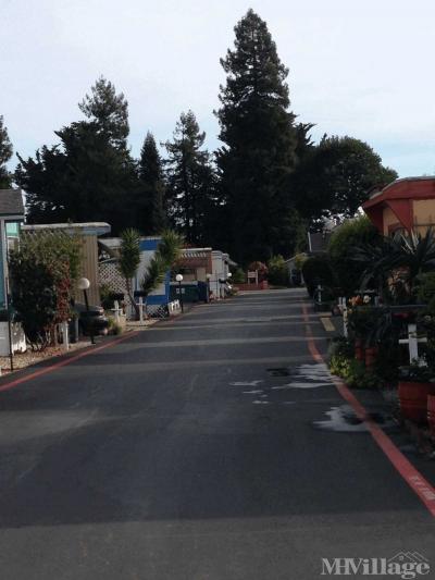 Photo 5 of 10 of park located at 1355 Sebastopol Road Santa Rosa, CA 95407