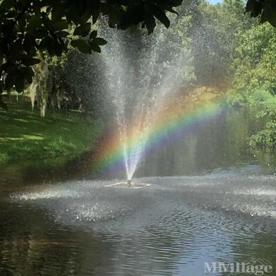 Photo 5 of 26 of park located at 795 County Road #1 Palm Harbor, FL 34683