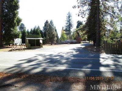 Mobile Home Park in Foresthill CA