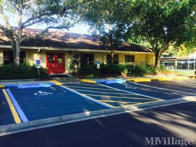 Photo 3 of 37 of park located at 795 County Road #1 Palm Harbor, FL 34683