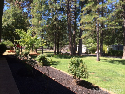 Photo 3 of 6 of park located at 1368 Garnet Paradise, CA 95969