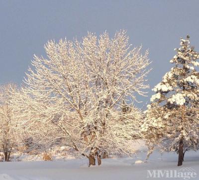 Photo 5 of 9 of park