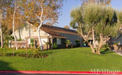 Meadows Mobile Home Park Mobile Home Park in Riverside, CA | MHVillage