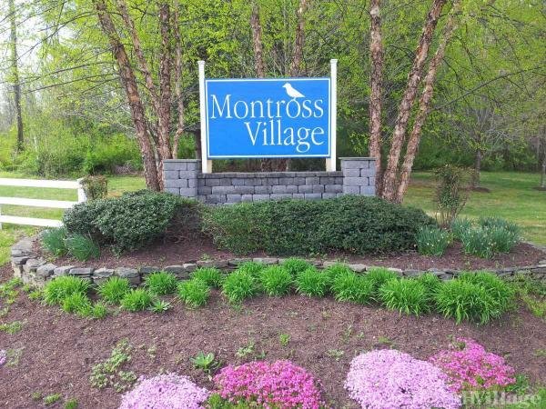Photo of Montross Village, Montross VA