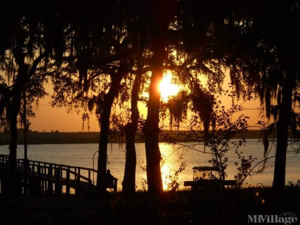 Photo 1 of 2 of park located at 13665 NE 253rd Court Salt Springs, FL 32134