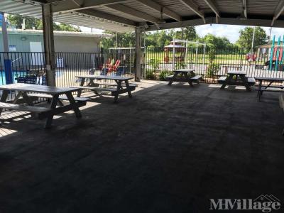 Photo 2 of 18 of park located at 8903 C E King Parkway Houston, TX 77044