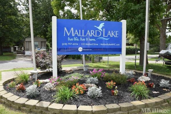 Photo of Mallard Lake, Pontoon Beach IL