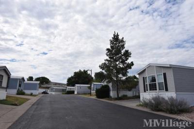 Photo 5 of 8 of park located at 9595 Pecos St Thornton, CO 80260