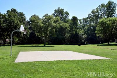 Photo 6 of 18 of park located at 530 Lanier St. South Lyon, MI 48178