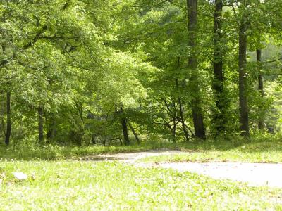 Photo 5 of 10 of park located at 3 Dustin Dr. Swannanoa, NC 28778