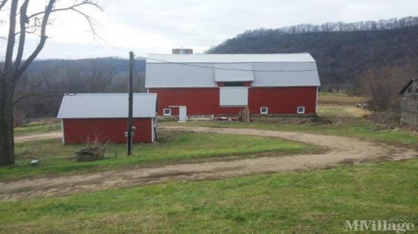 Photo of Ocooch Acres, Steuben WI