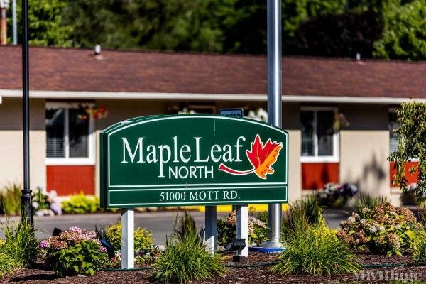 Photo of Maple Leaf North, Canton MI
