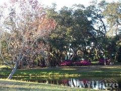 Photo 3 of 29 of park located at 795 County Road #1 Palm Harbor, FL 34683