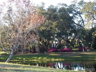Photo 4 of 26 of park located at 795 County Road #1 Palm Harbor, FL 34683