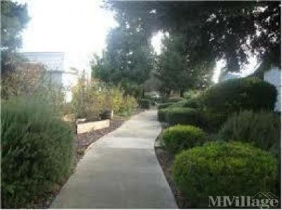 Photo 5 of 7 of park located at 3231 Vineyard Avenue Pleasanton, CA 94566