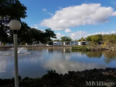 Photo 5 of 12 of park located at 7107 Gibraltar Ave., Office New Port Richey, FL 34653