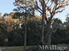 Photo 5 of 17 of park located at 3860 Doctor's Lake Dr Orange Park, FL 32073