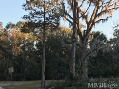 Photo 5 of 17 of park located at 3860 Doctor's Lake Dr Orange Park, FL 32073