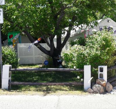 Photo 2 of 13 of park located at 5602 South Palo Verde Road Tucson, AZ 85706