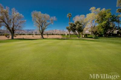 Photo 2 of 21 of park located at 36-200 Date Palm Drive Cathedral City, CA 92234