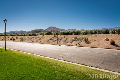 Photo 3 of 21 of park located at 36-200 Date Palm Drive Cathedral City, CA 92234