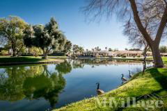 Photo 4 of 21 of park located at 36-200 Date Palm Drive Cathedral City, CA 92234