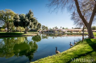 Photo 4 of 21 of park located at 36-200 Date Palm Drive Cathedral City, CA 92234